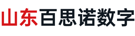 临沂百思诺网络技术有限公司